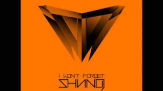 Shining   I Won't Forget