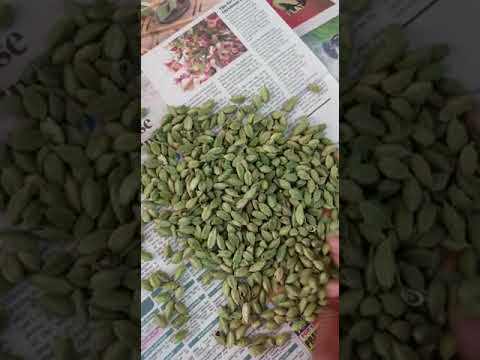 Black green cardamom seed, packaging type: gunny bag, packag...