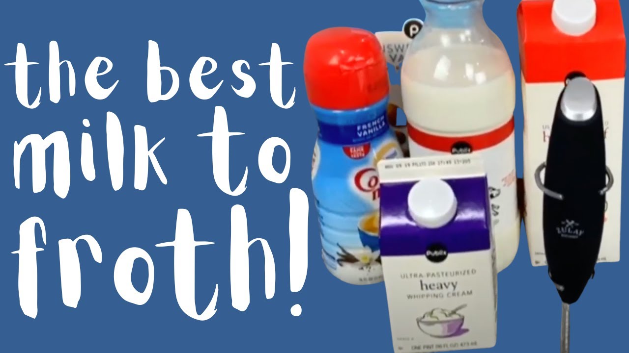 Got Froth How To Choose The Best Milk For Your At-Home Cappuccinos By Zulay Kitchen