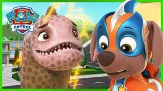 Mighty Pups Save a Giant Eel | PAW Patrol Episode | Cartoons for Kids