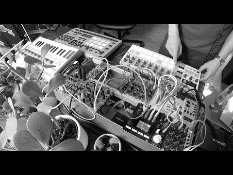 Wave Folders - #004 - Improvised Techno Liveset - Eurorack - Analog Rytm MK2