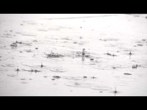 PEET BECK - Soul Drops