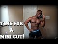 I'm Doing A Mini Cut!
