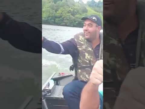 ONÇAS NO ALAGADO, CHOPINZINHO PR/ CANDÓI PR