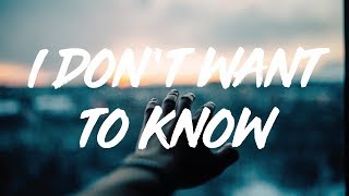 Sigrid | I Don&#39;t Want To Know  (lyrics)