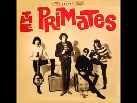 The Primates - Get Outta Here !