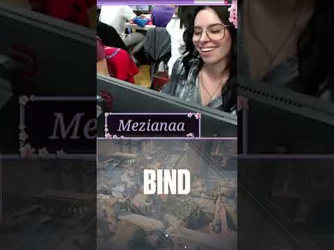 Recap LES meziana