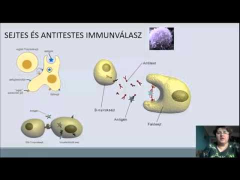 eszkimó szív egészsége az újszülött fiziológiás izom hipertóniában szenved