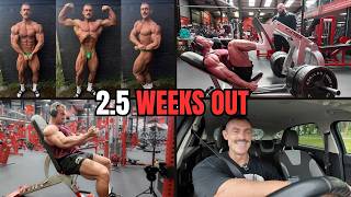 HUGE PREP LOW & NEW TORSO LIMBS TRAINING SPLIT