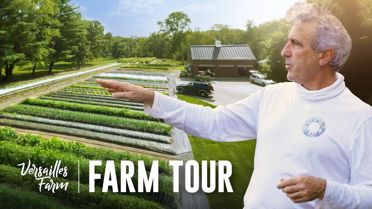 FULL TOUR of the THRIVING Versailles Farm in Greenwich, CT