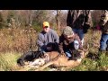 Mason first buck. Michigan deer trackn hounds.