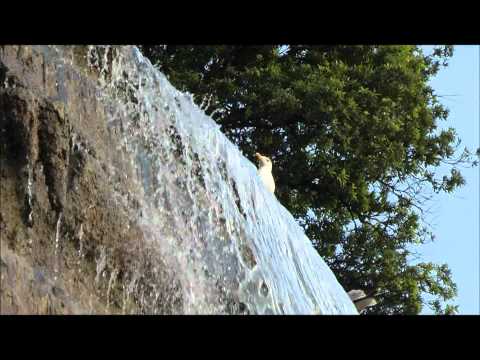 Scriabine Sonata 8 Mikhail Rudy