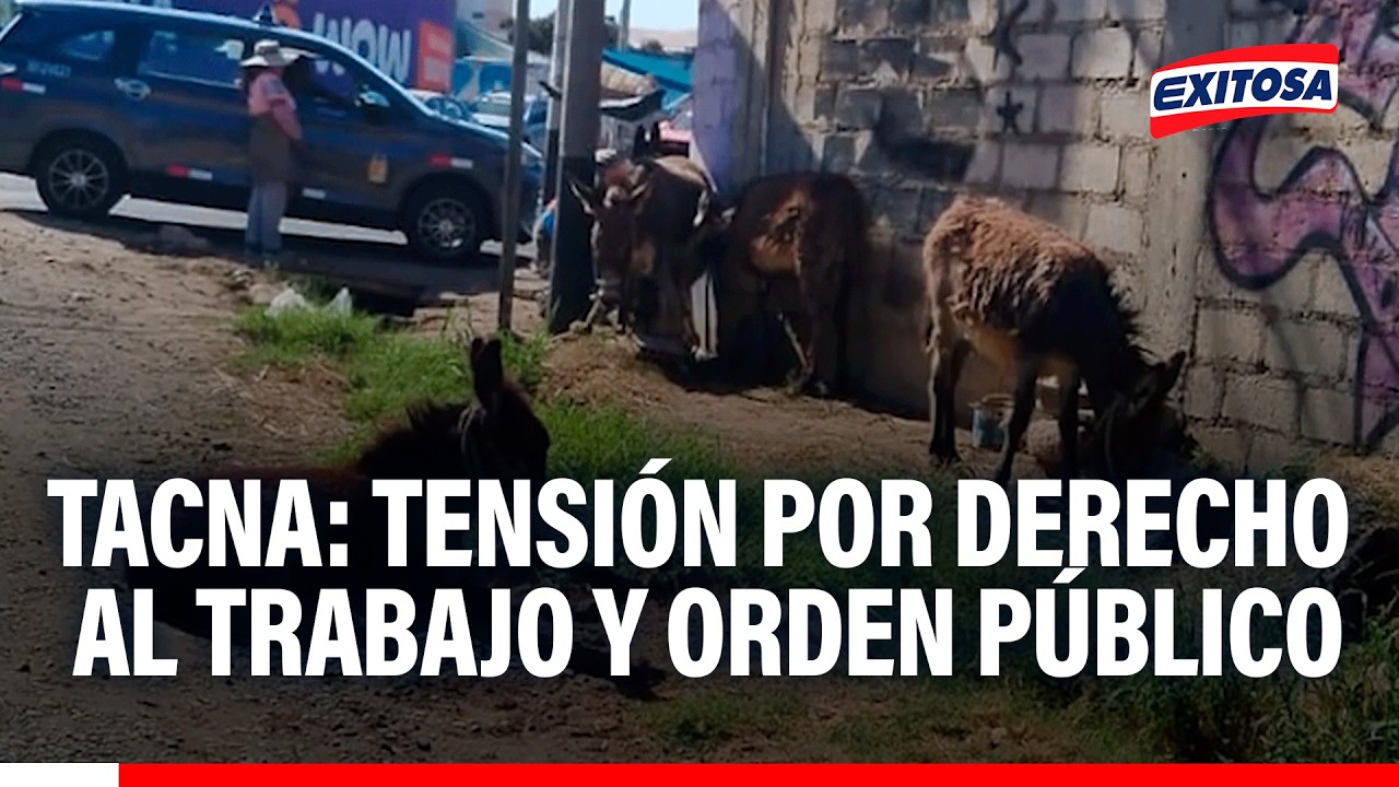 🔴🔵 Tacna: derecho al trabajo VS orden público genera nuevo enfrentamiento en pasaje