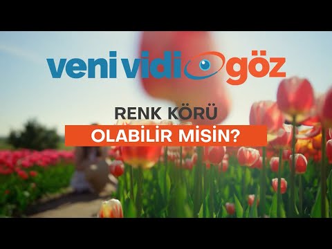 BU RENK TESTİNİ GEÇEBİLİR MİSİN?