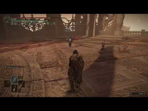 ELDEN RING Seamless Co-op Invasion #18  -faith slim FULLVIDEO