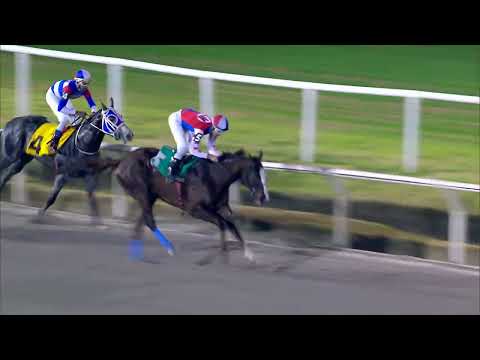 220710 c11 TOADA (BRZ)