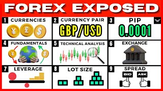 Forex Trading For Beginners (FREE FULL COURSE)