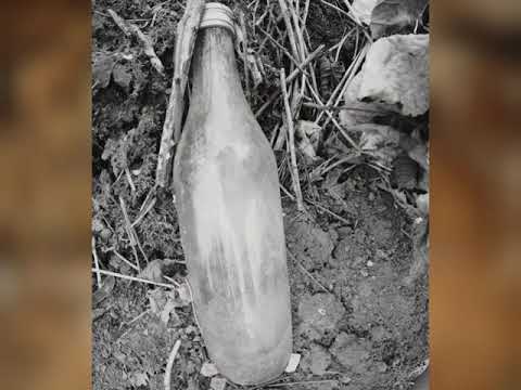 Hike on Požeška Gora - 8.3.2020.