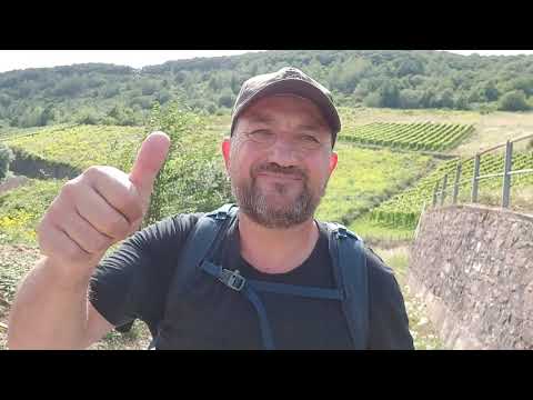 Moselsteig Etappe Beilstein nach Cochem