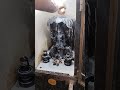 Dakshinamurthy Abhishekam