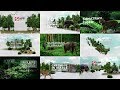 Sinarmas Profile Conservation Activity