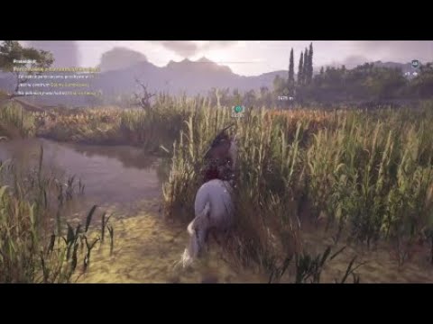 Assassin's Creed® Odyssey #139 - w drodze na igrzyska