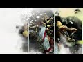 Happy Navratri Special Status Whatsapp Status Matarani Special Status Whatsapp Bhakti Youtube