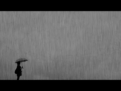 Las eras - Virginia (lyric video)