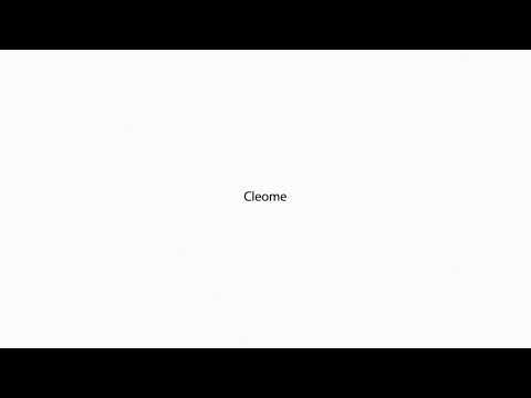 Cleome PRONUNCIATION