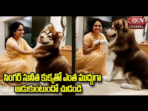 Singer Sunitha Cute Moments With A Dog | Singer Sunitha Latest Video | Bcn Channel