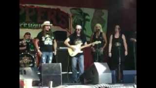 Jimmie Van Zant and the mojo gurus, simple man.AVI