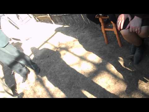 vedete din iorcani III