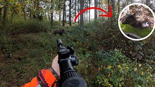 Titel: HARTE Jagd - Sauen stecken in den Brombeer Schlägen - Drückjagd auf Sauen (Copterpro Jagd)