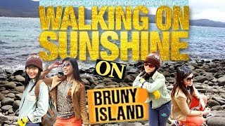 Sights & Sounds: Flying Fox Helihike, Fox Glacier