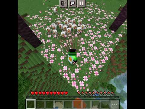 B.H.L.Gaming's CRAZY Minecraft Shorts!