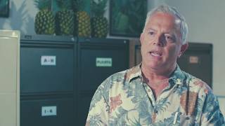 High quality exports of pineapples from Panama to the world