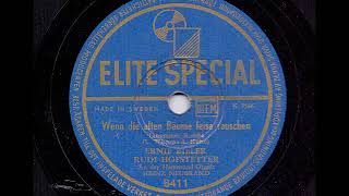 ERNIE BIELER RUDI HOFSTETTER - WENN DIE ALTEN BÄUME LEISE RAUSCHEN