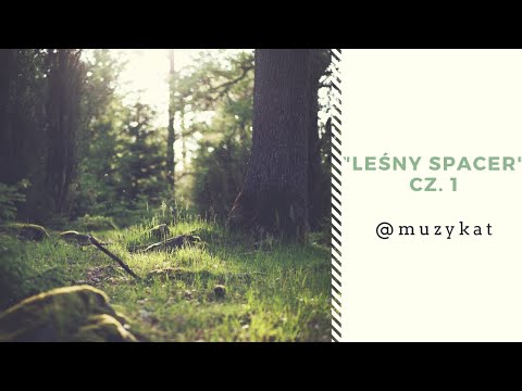 🎧 Leśny spacer cz.1 | MuzyKat | MUZYKALNIE DLA DZIECI