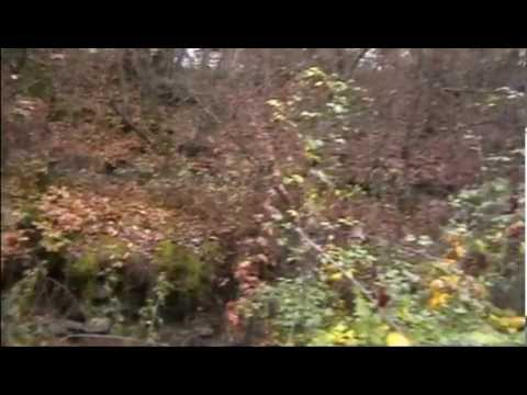 Mulliri i Destan Eminit - Miratoc