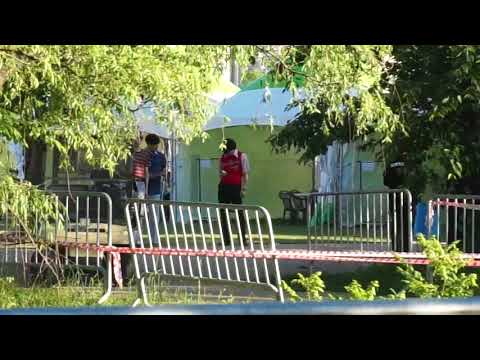 180520 자동차 붕붕 잔나비