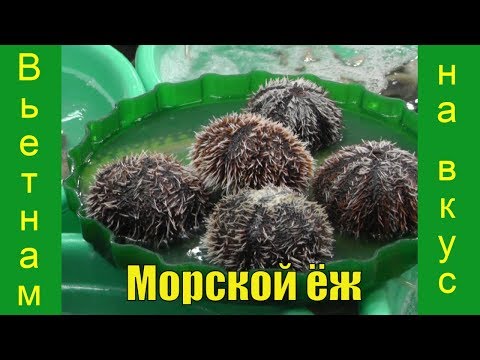 Блюдо из морского ёжа. Вьетнам на вкус.