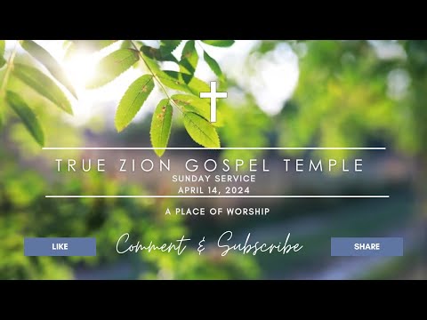 True Zion Gospel Temple, 4/14/24