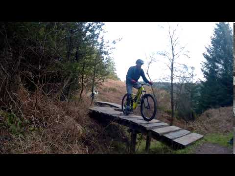 2019 0217 013705 041