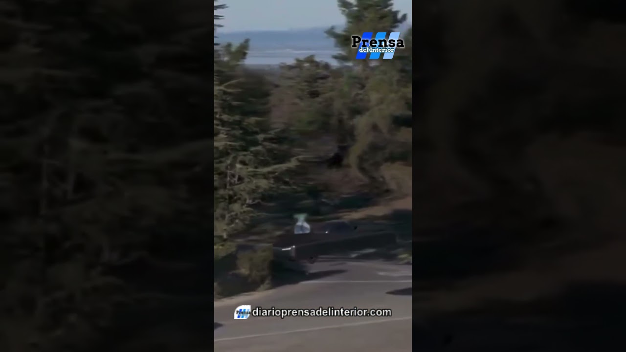 "VOLVER AL FUTURO" SE HIZO REALIDAD