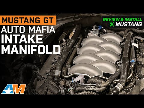 2011-2023 Mustang GT Auto Mafia Racing Ported 2018 GT Intake Manifold Review & Install