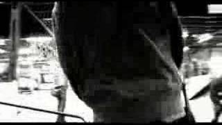 Green Lizard - "Walk Over Water"