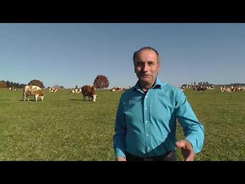 HUMISAL The Apocalypse of John "...no more buying .. without the mark of the beast .." over!