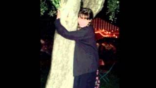 Olive Tree Basia Trzetrzelewska