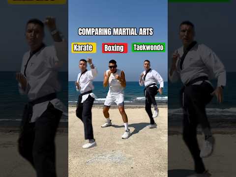 Choose the best martial art! Comments. #boxing #mma #karate #taekwondo #usa