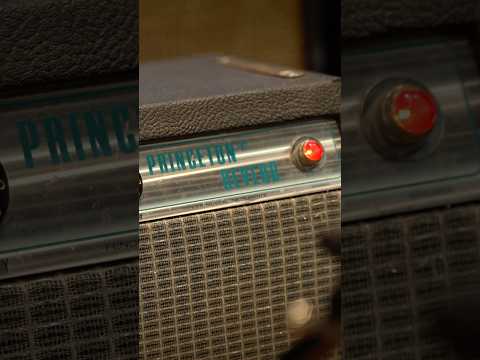 Why You NEED A Princeton Reverb? #shorts